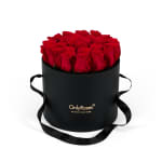 Red Classic Rose Waldorf