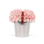 Pink Classic Rose Fleurs Du Vin