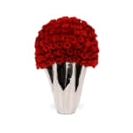 Red Classic Rose Lady Jane