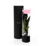 Pink Infinite Rose Ebony Mother's Day