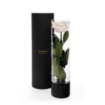 White Infinite Rose Ebony Mother's Day