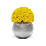 Lemon Infinite Rose Silver Palacio