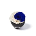 Crescent Moon Crescent Moon Infinite Rose