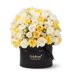 Yellow Mix Classic Rose Verano