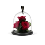 Red Valentine's Infinite Rose Gem