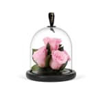 Light Pink Valentine's Infinite Rose Gem