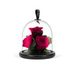 Dark Pink Valentine's Infinite Rose Gem