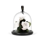 White Valentine's Infinite Rose Gem