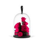 Dark Pink Valentine's Infinite Rose Jewel