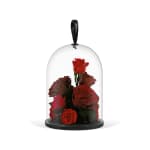 Red Valentine's Infinite Rose Jewel