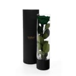 Emerald Green Infinite Rose Ebony