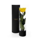 Lemon Infinite Rose Ebony