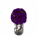 Aubergine Infinite Rose Florence