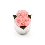 Infinite Rose Fortune - London | OnlyRoses