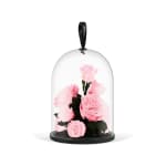 Blush Pink Valentine's Infinite Rose Jewel