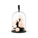 Champagne Valentine's Infinite Rose Jewel