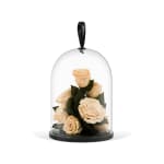 Peach Valentine's Infinite Rose Jewel