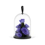 Violet Valentine's Infinite Rose Jewel