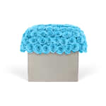 Baby Blue Infinite Rose Modernist