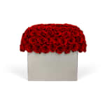 Crimson Infinite Rose Modernist