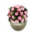 Blush Pink Infinite Rose Sienna