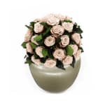 Champagne Infinite Rose Sienna