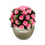 Cherry Blossom Infinite Rose Sienna