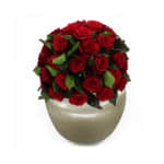 Crimson Infinite Rose Sienna