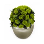 Fluorescent Green Infinite Rose Sienna