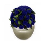 Royal Blue Infinite Rose Sienna