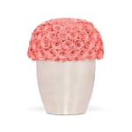 Flamingo Infinite Rose Uptown