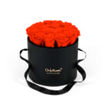 Deep Orange Infinite Rose Waldorf