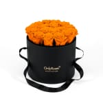 Pumpkin Infinite Rose Waldorf