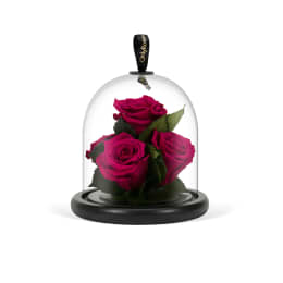 Valentine's Infinite Rose Gem