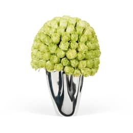 Classic Rose Lady Jane