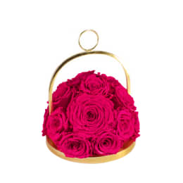 Infinite Rose Lantern Dome