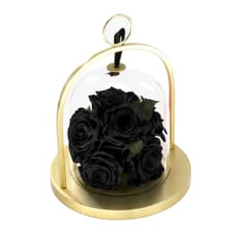 Infinite Rose Lantern Gem