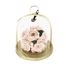 Infinite Rose Lantern Gem