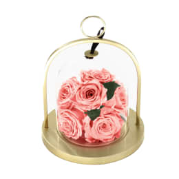 Infinite Rose Lantern Gem