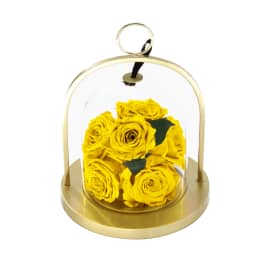 Infinite Rose Lantern Gem