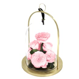 Infinite Rose Lantern Jewel