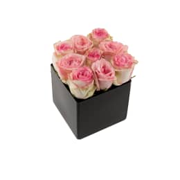 Classic Rose Black Cube
