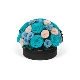 Infinite Rose Boulevard