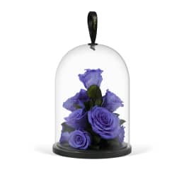 Infinite Rose Jewel