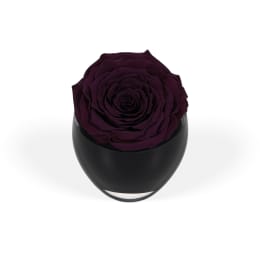 Infinite Rose Festive Tree