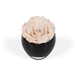 Infinite Rose Festive Tree