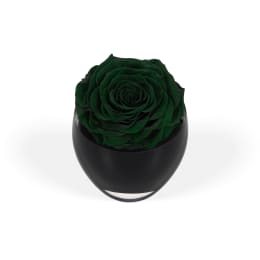 Infinite Rose Festive Tree