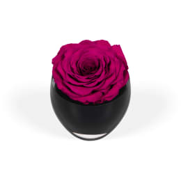 Infinite Rose Festive Tree