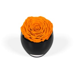 Infinite Rose Festive Tree