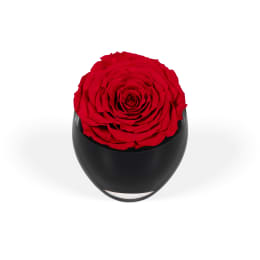 Infinite Rose Festive Tree